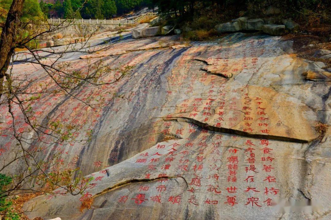 为什么要结婚呢？游戏画面